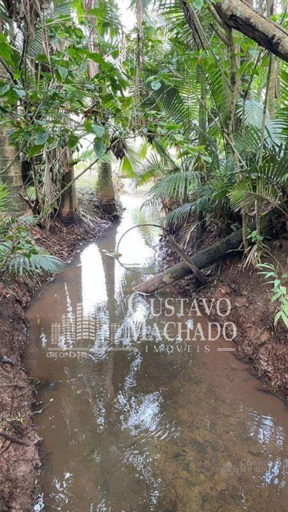 Sítio, 3 quartos, 5 hectares - Foto 29