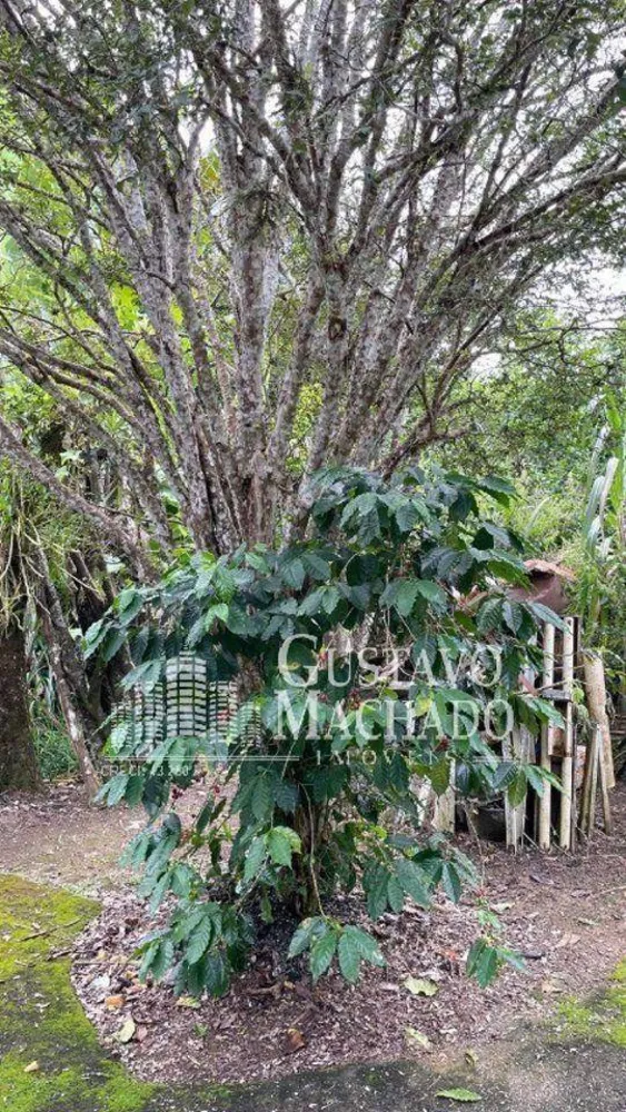 Sítio, 3 quartos, 5 hectares - Foto 18