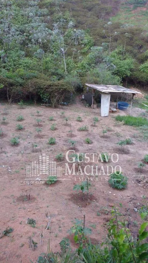 Terreno, 2 hectares - Foto 2