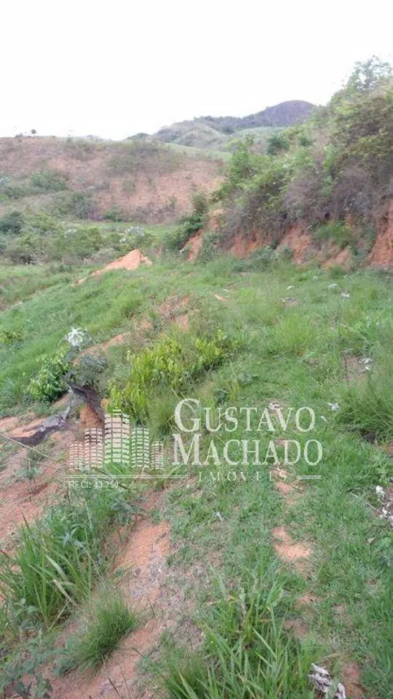 Terreno, 2 hectares - Foto 3