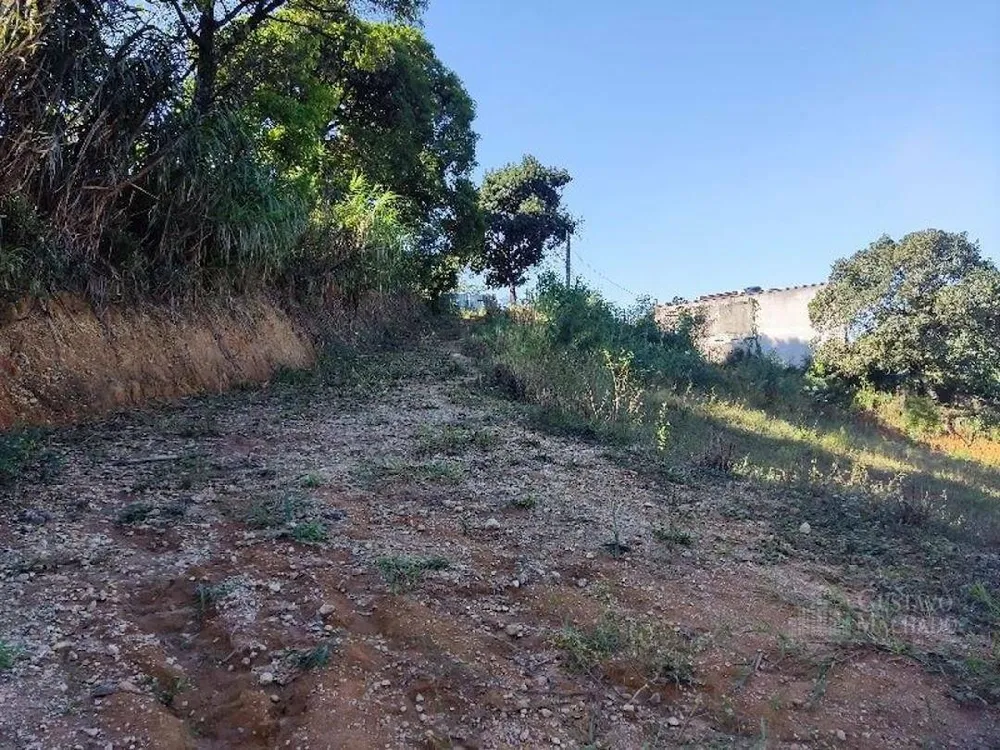 Terreno, 4661 m² - Foto 4