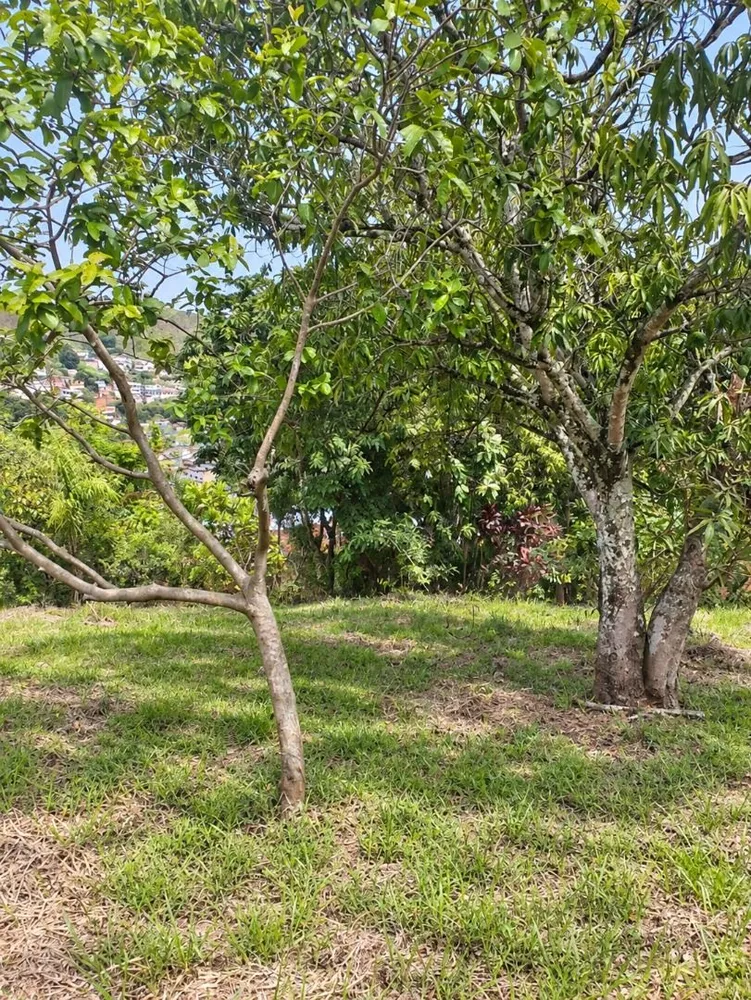 Casa, 3 quartos, 300 m² - Foto 27