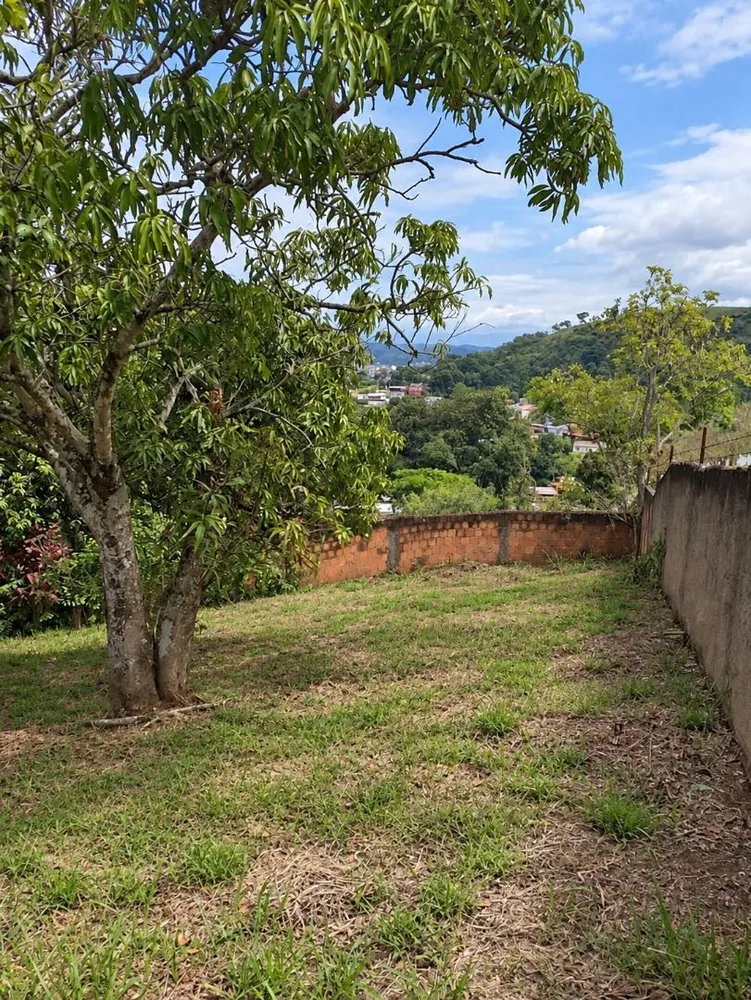 Casa, 3 quartos, 300 m² - Foto 25