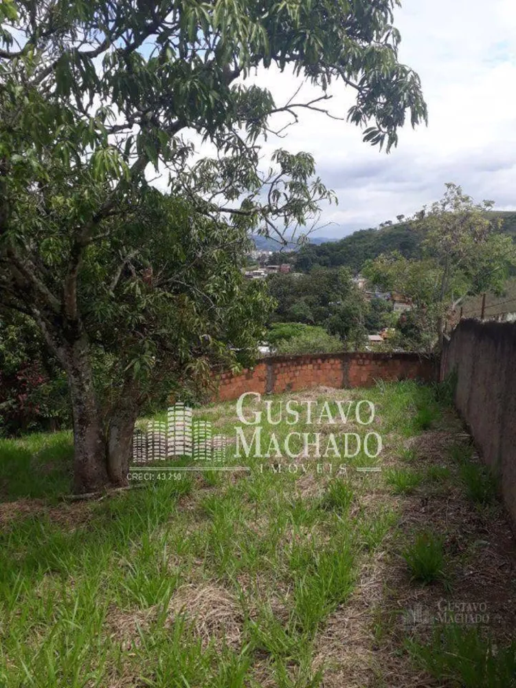 Casa, 3 quartos, 300 m² - Foto 13