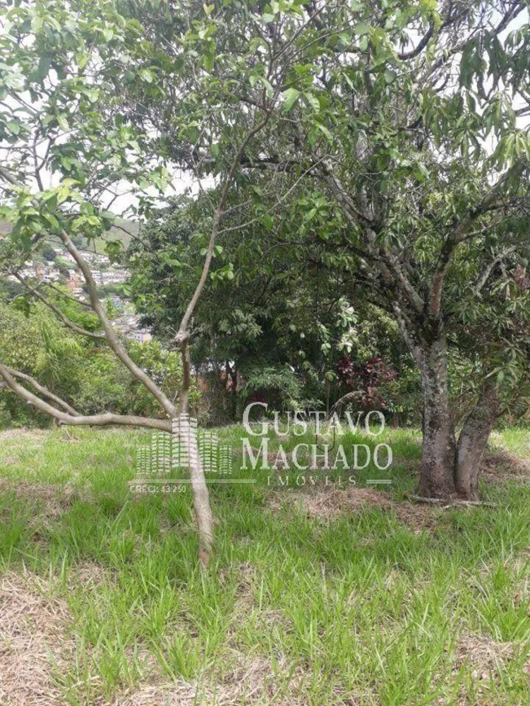 Casa, 3 quartos, 300 m² - Foto 14