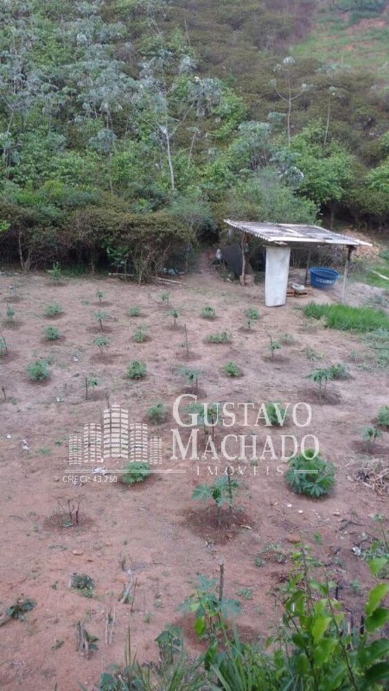 Terreno, 2 hectares - Foto 2