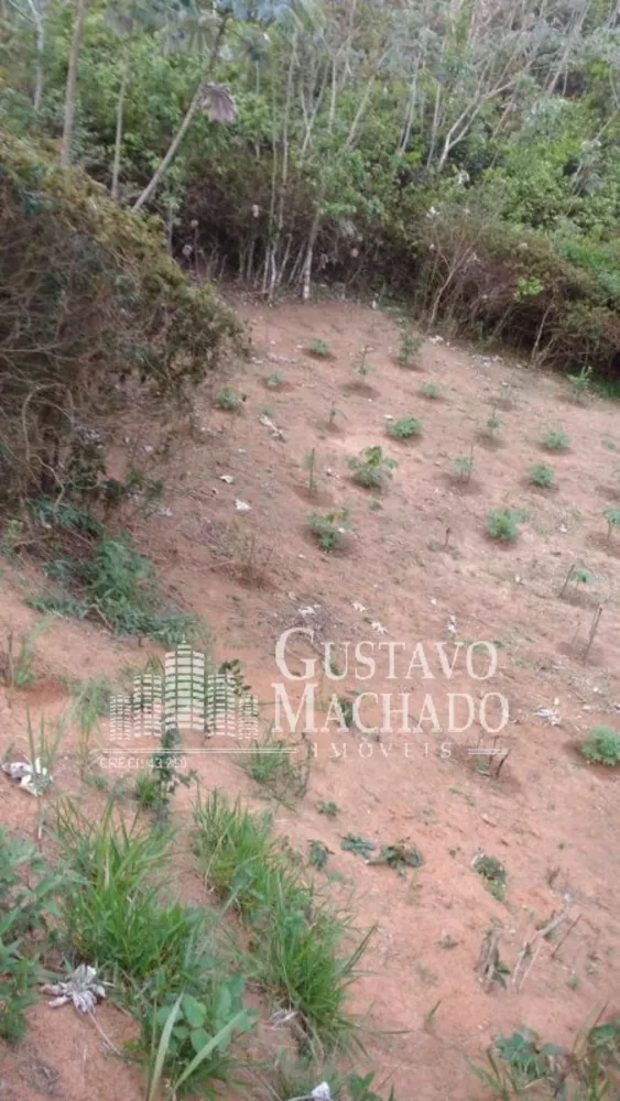 Terreno, 2 hectares - Foto 4