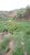 Terreno, 2 hectares - Foto 2