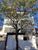 Apartamento, 3 quartos, 92 m² - Foto 1