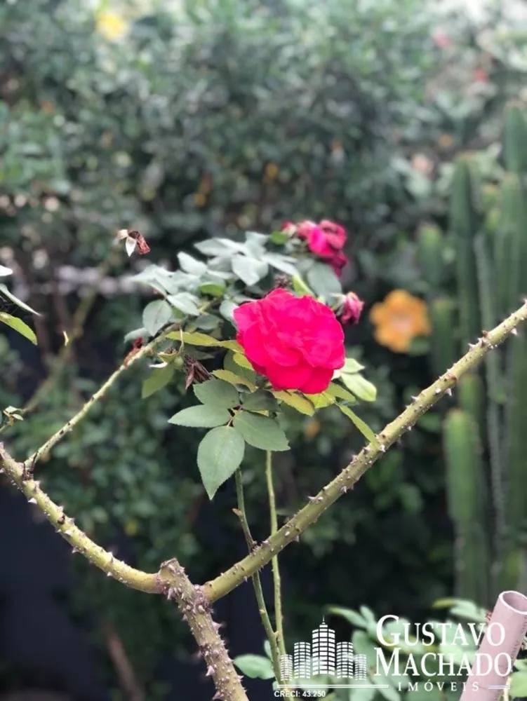 Casa, 6 quartos, 226 m² - Foto 36