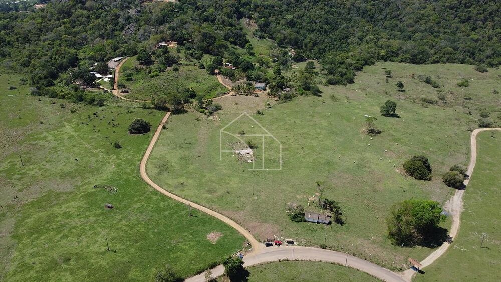 Fazenda-Sítio-Chácara, 66 hectares - Foto 8