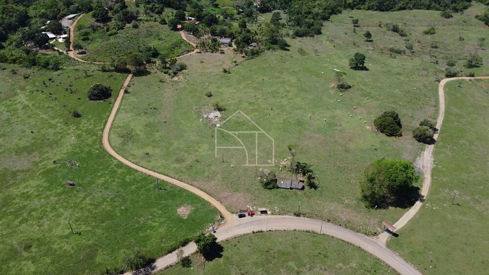 Fazenda-Sítio-Chácara, 66 hectares - Foto 7