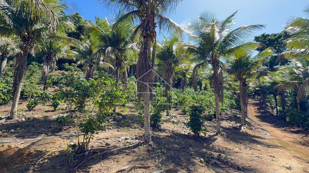 Sítio, 3 quartos, 100 m² - Foto 8