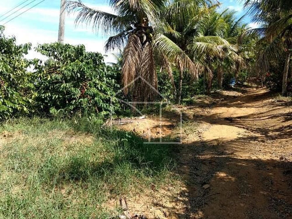 Sítio, 3 quartos, 100 m² - Foto 5