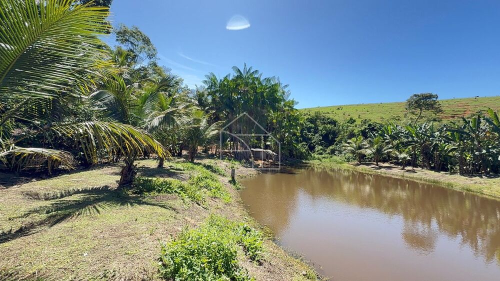 Sítio, 3 quartos, 100 m² - Foto 2