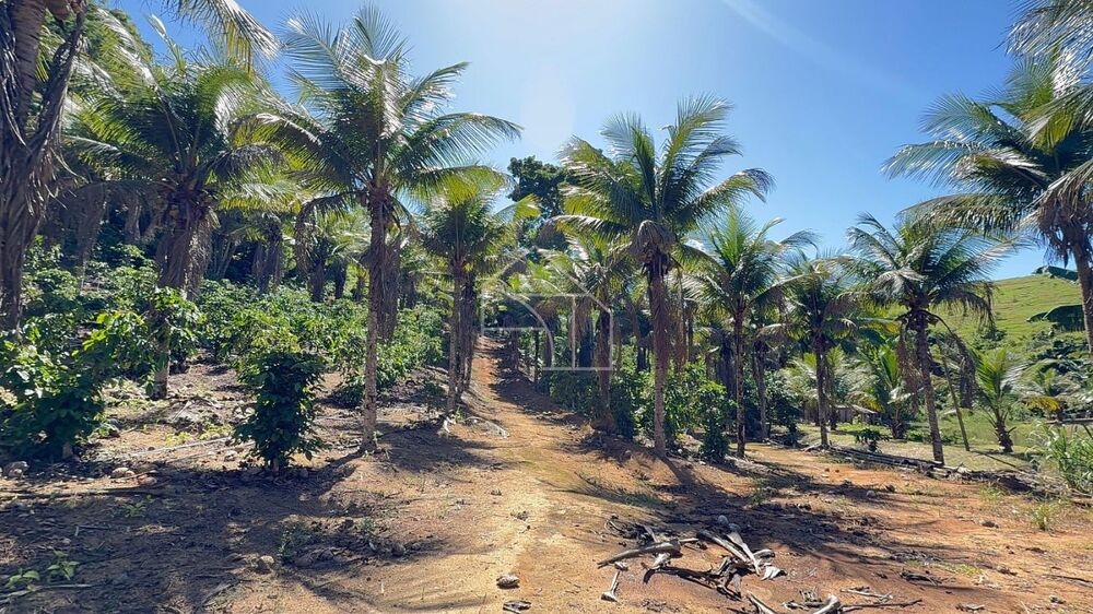 Sítio, 3 quartos, 100 m² - Foto 4