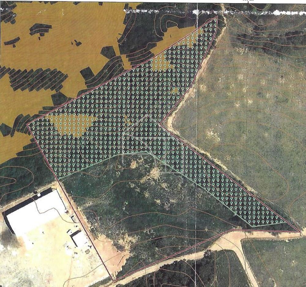 Terreno, 2 hectares - Foto 8