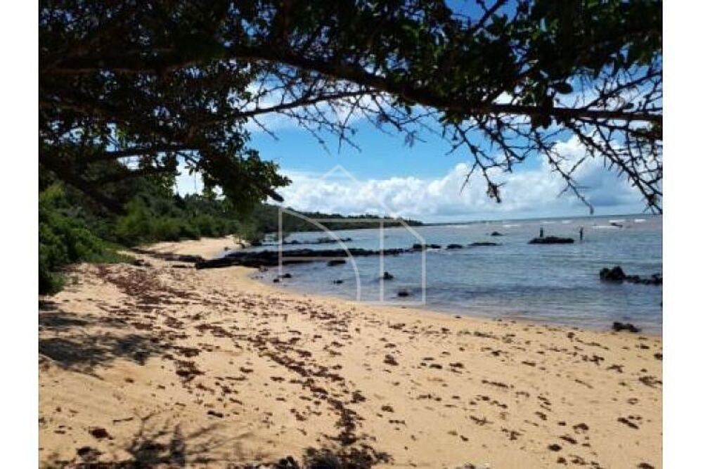 Fazenda-Sítio-Chácara, 5000 m² - Foto 8