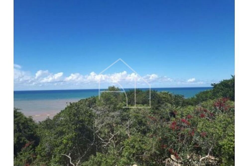 Fazenda-Sítio-Chácara, 5000 m² - Foto 7