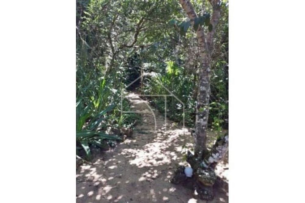 Fazenda-Sítio-Chácara, 5000 m² - Foto 2