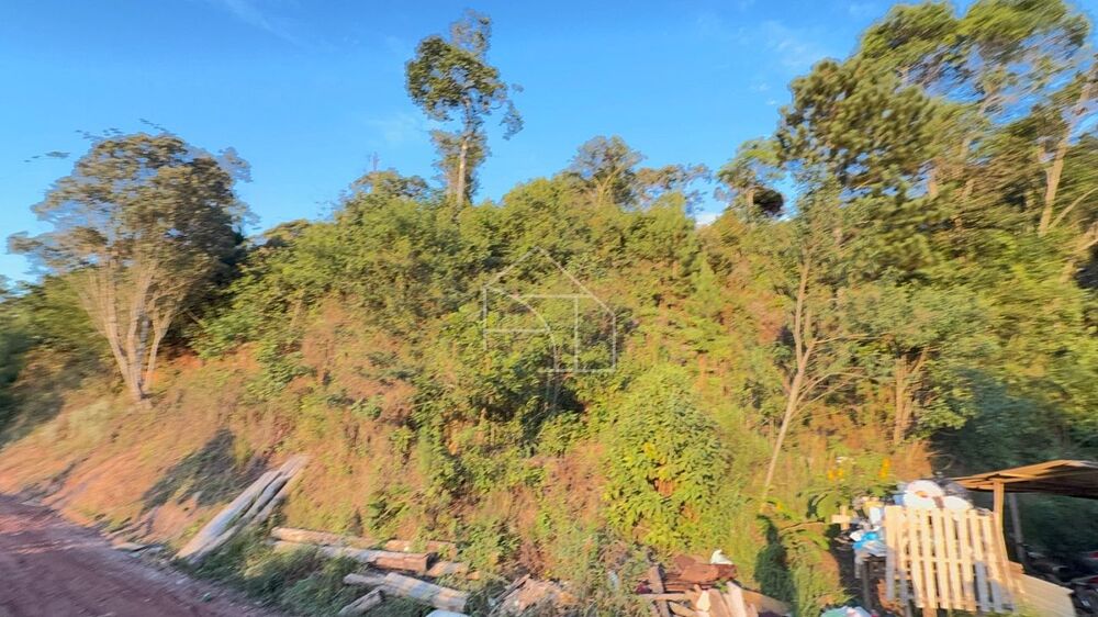 Terreno, 6000 m² - Foto 7