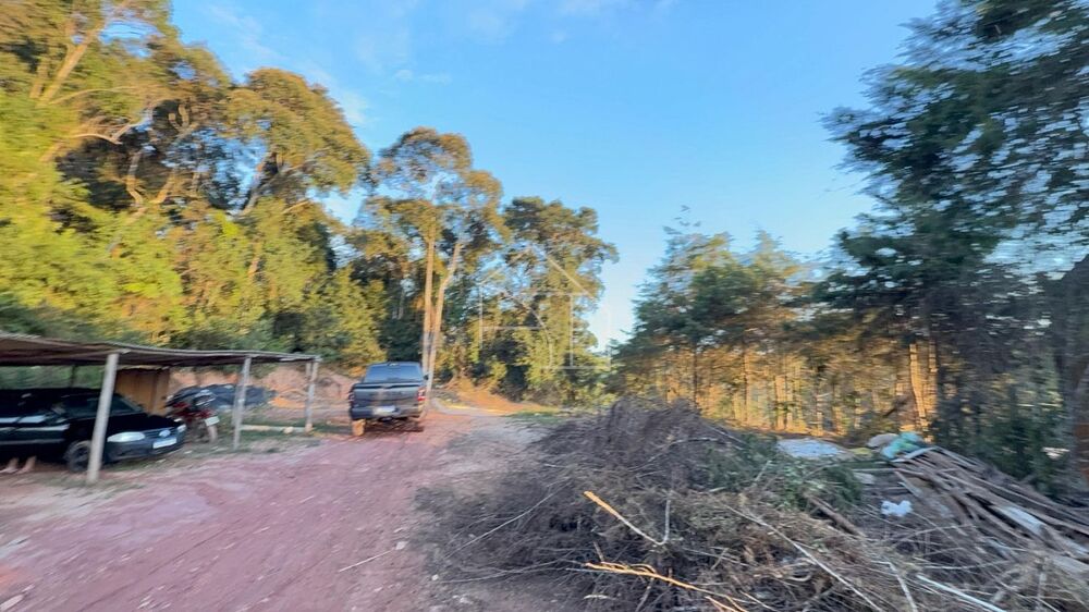 Terreno, 6000 m² - Foto 5