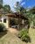 Sítio, 3 hectares - Foto 9
