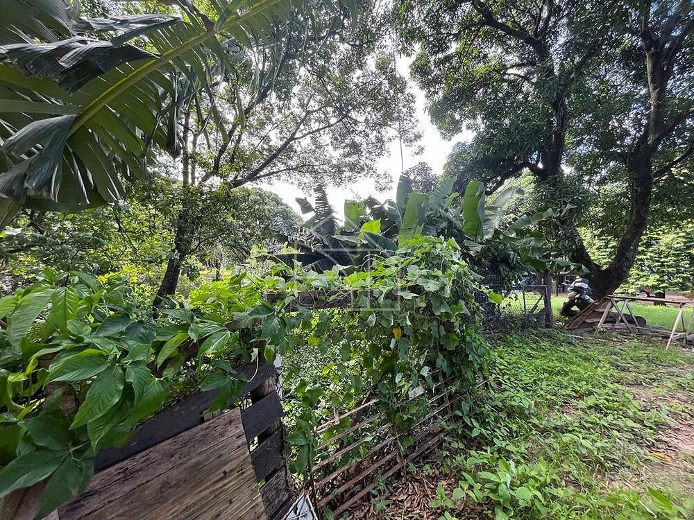 Loteamento e Condomínio, 1 hectares - Foto 13