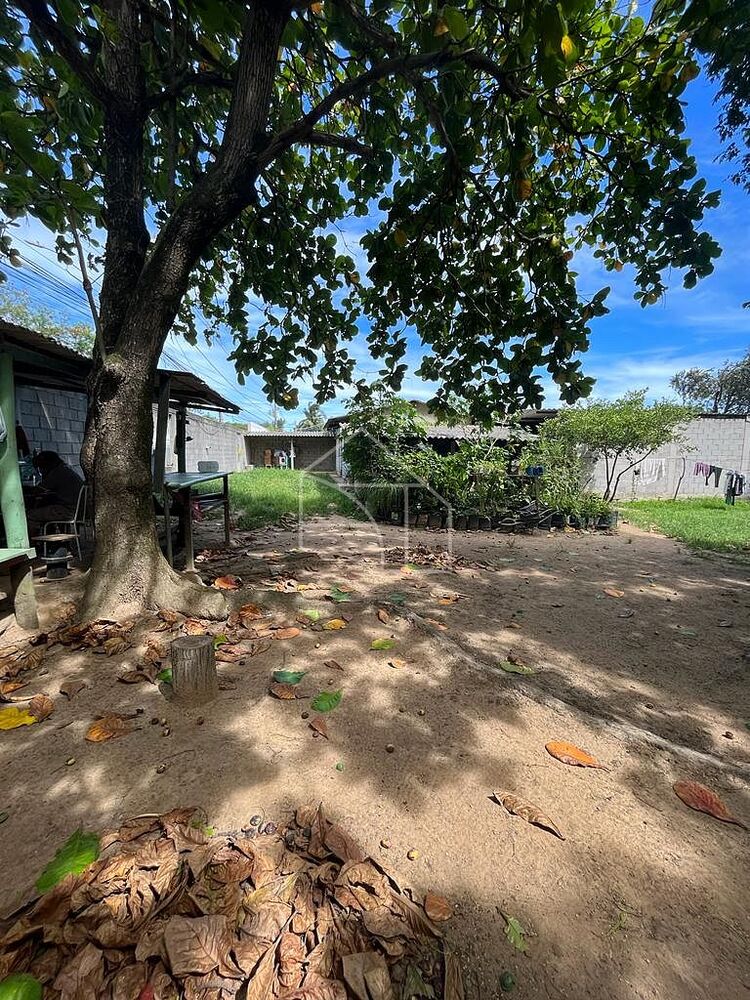 Loteamento e Condomínio, 1 hectares - Foto 4