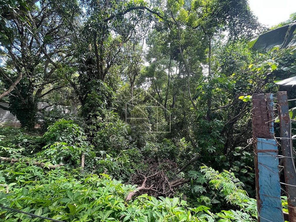 Loteamento e Condomínio, 1 hectares - Foto 10