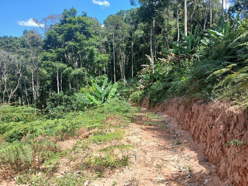 Sítio, 5 quartos, 7 hectares - Foto 9