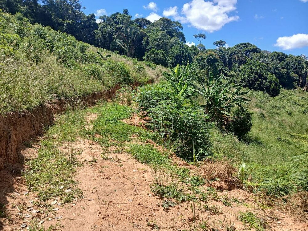 Sítio, 5 quartos, 7 hectares - Foto 3