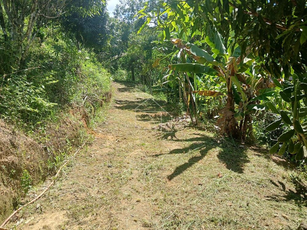 Sítio, 5 quartos, 7 hectares - Foto 6