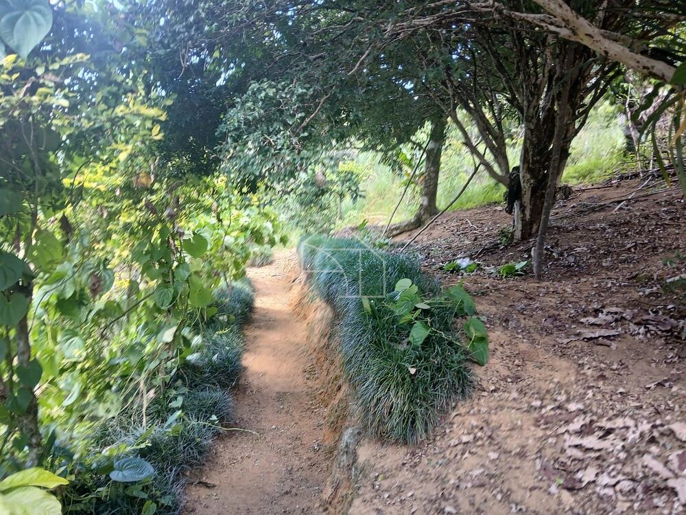 Sítio, 5 quartos, 7 hectares - Foto 8