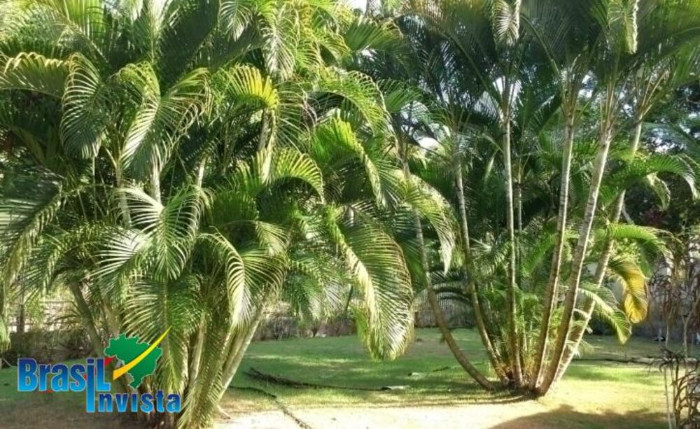 Casa, 4 quartos, 330 m² - Foto 10