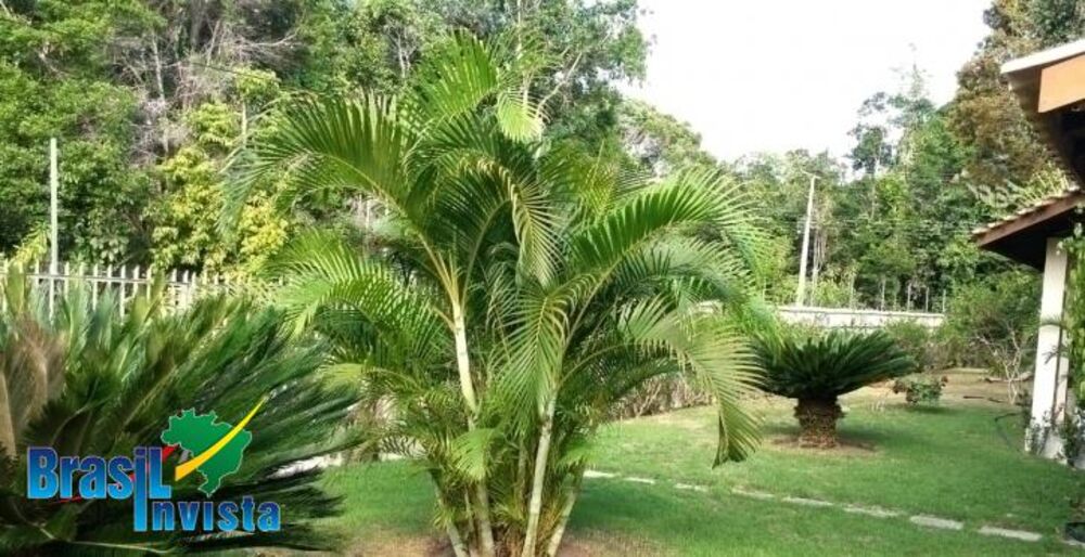 Casa, 4 quartos, 330 m² - Foto 11