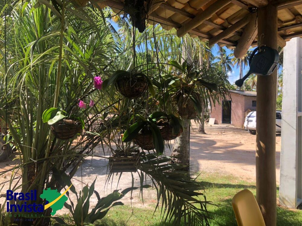 Terreno, 10 hectares - Foto 9