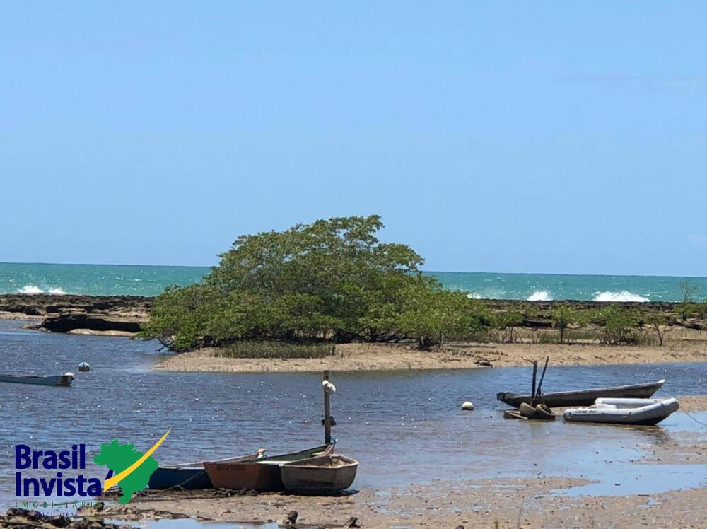 Terreno, 10 hectares - Foto 17