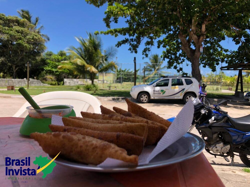 Terreno, 10 hectares - Foto 7