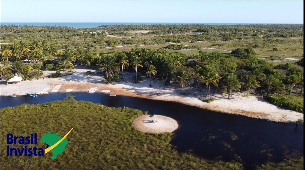 Terreno, 10 hectares - Foto 5