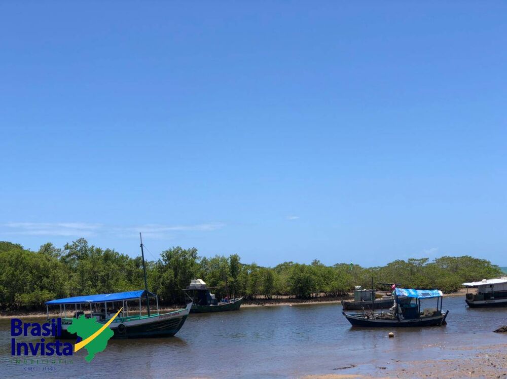 Terreno, 10 hectares - Foto 11