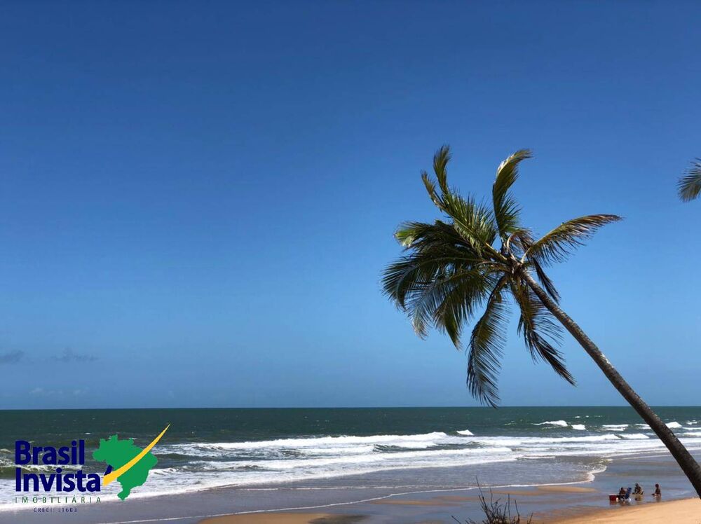 Terreno, 10 hectares - Foto 16