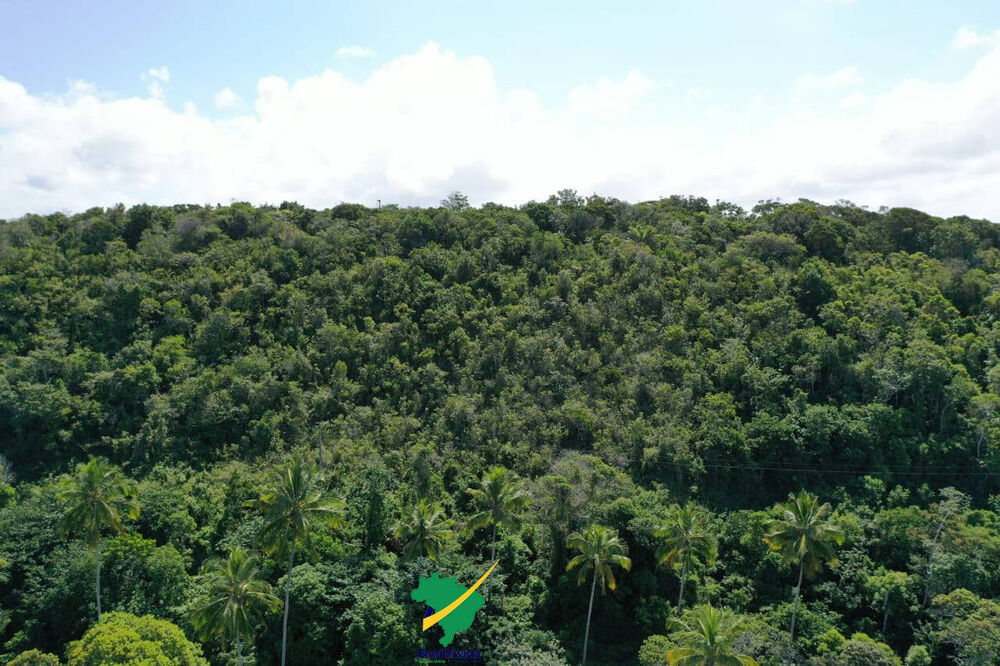 Terreno à venda, 441000m² - Foto 20
