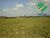 Terreno, 1268 hectares - Foto 2