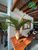 Casa, 7 quartos, 700 m² - Foto 20