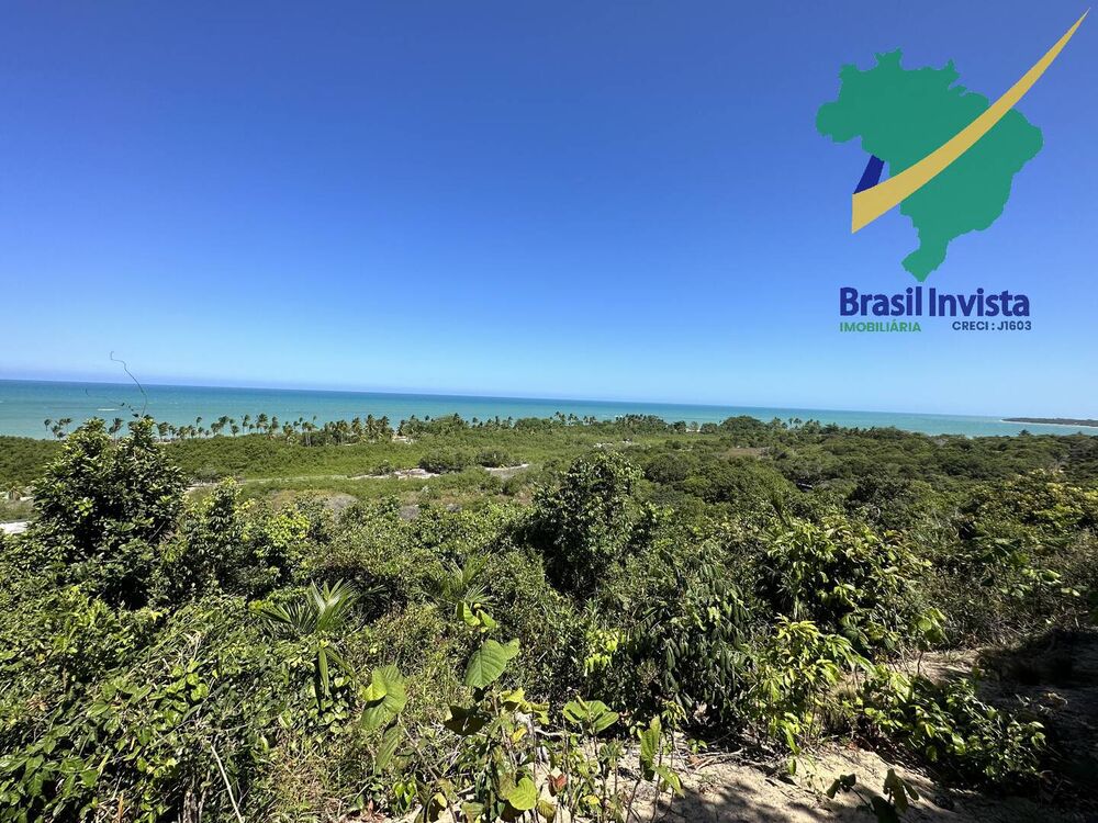 Casa, 6 quartos - Foto 4