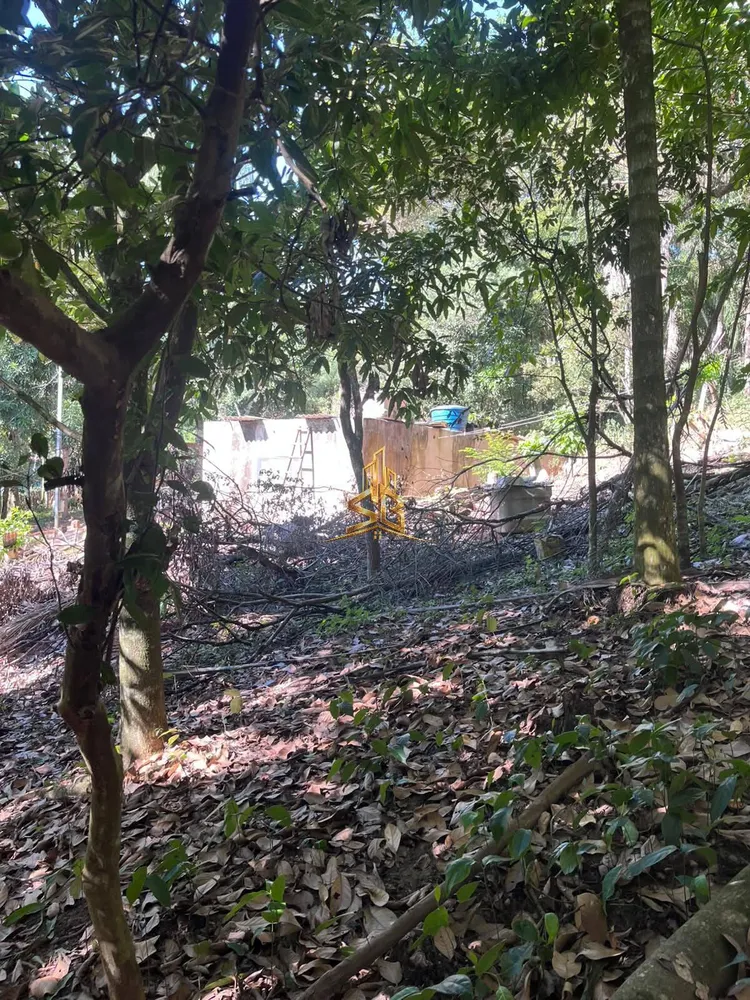 Chácara, 1 quarto, 3600 m² - Foto 12