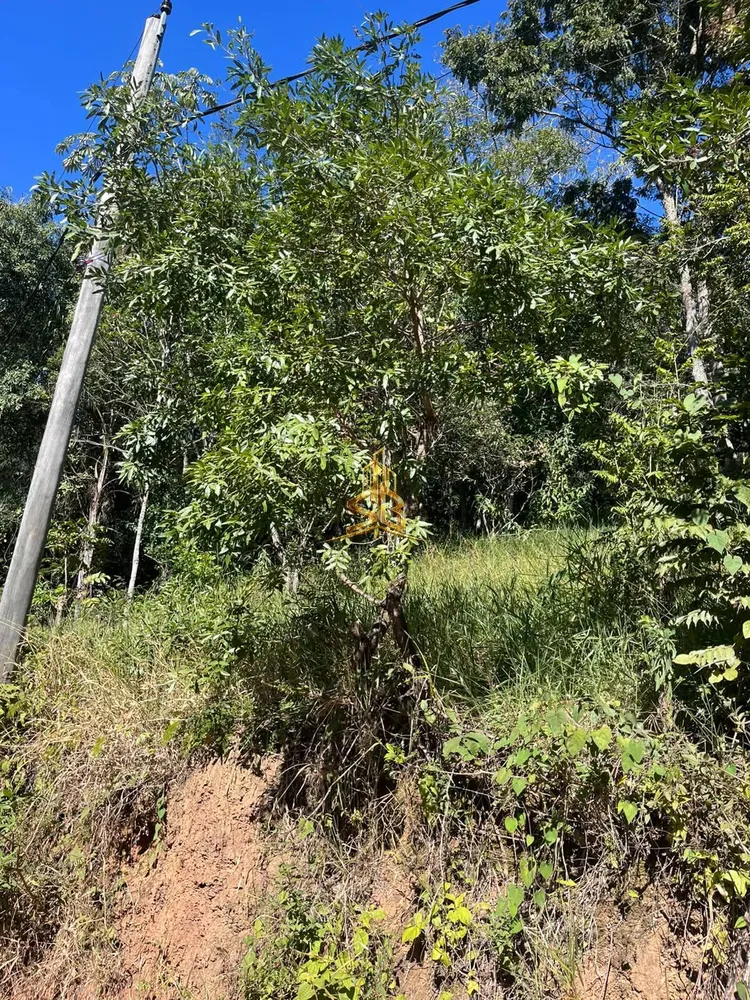 Chácara, 1 quarto, 3600 m² - Foto 10