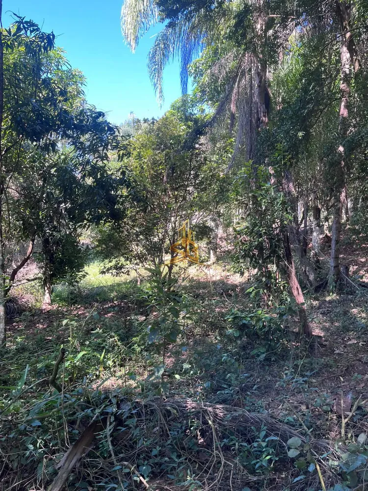 Chácara, 1 quarto, 3600 m² - Foto 9
