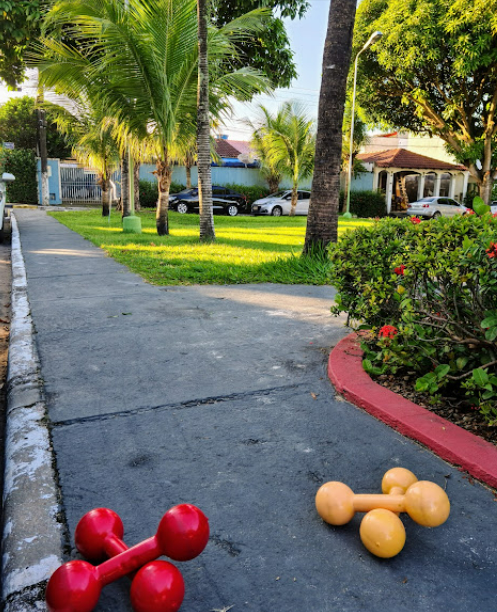 Casa de Condomínio à venda com 3 quartos, 100m² - Foto 4